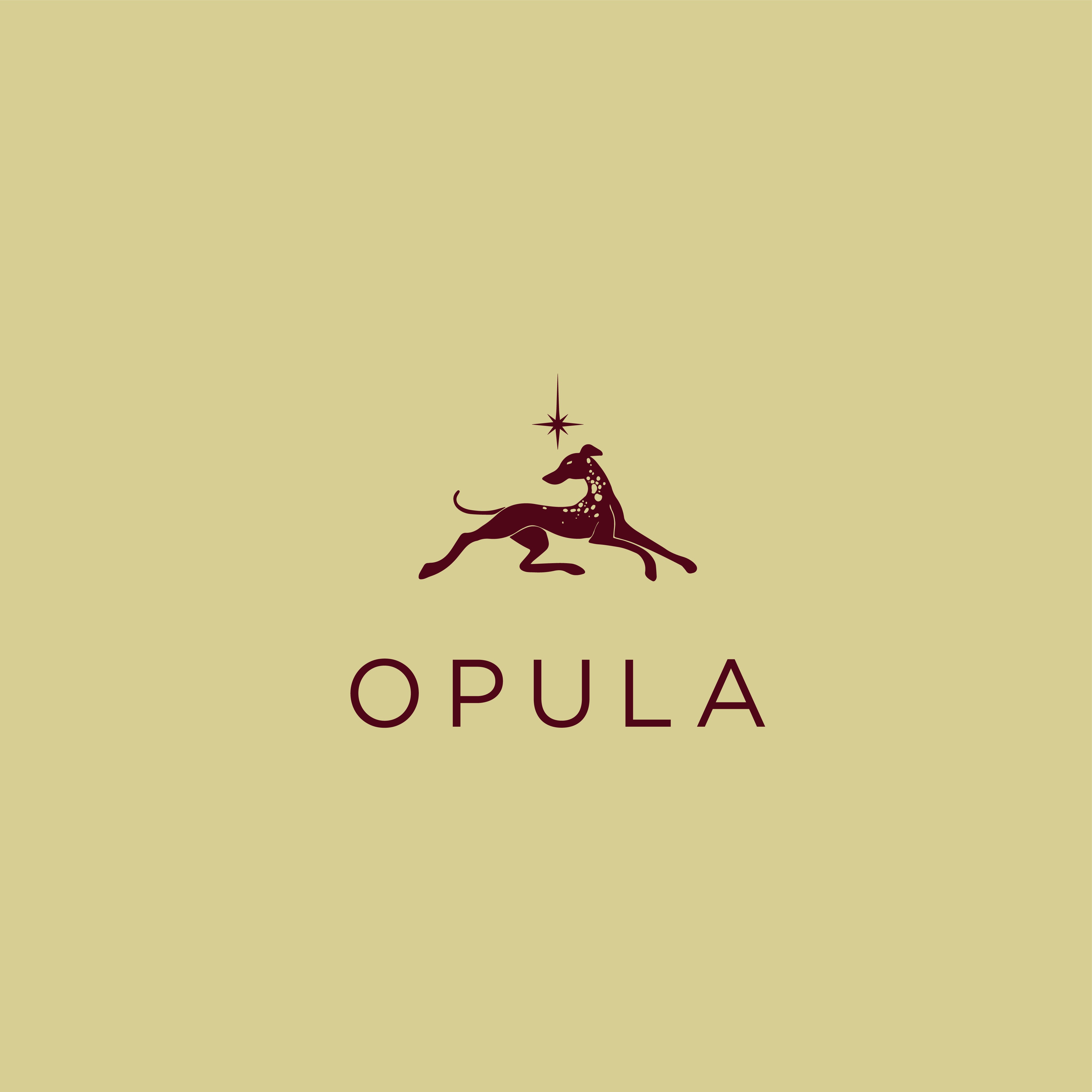 Opula Joyas
